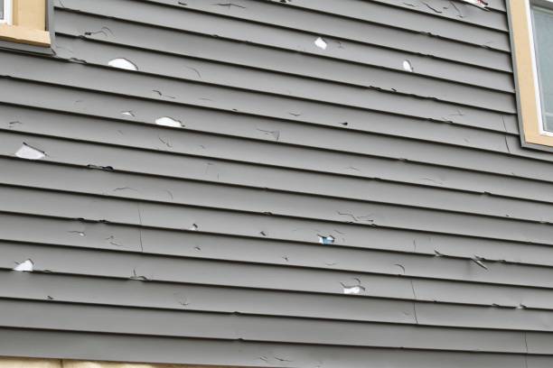Best Hoarding Cleanup  in Anderson, SC